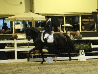 Everdale 201113_2045